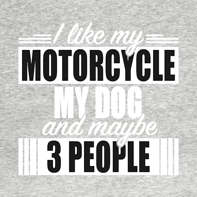 Motorcycles Like Motorcycle My Dog And 3 People by Hopkinson